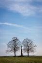 Trees and cross