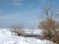 Curonian spit and ice pieces in spring, Lithuania Royalty Free Stock Photo