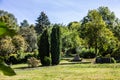 Trees and cypress trees in the cemetery under a blue sky