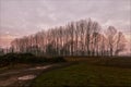 Trees at dawn on the Friulian countryside. Night photography. Sunrise.