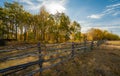 Trees decorated with bright yellow autumn leaves, behind a fence of logs Royalty Free Stock Photo