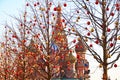 Trees decorated with Christmas balls in front of St. Basil`s Cathedral in Moscow Royalty Free Stock Photo