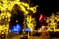 St Louis, Missouri, USA, Dec 2019 - trees decorated with christmas lights anheuser busch brewery budweiser sign