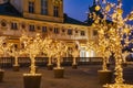 Trees decorated with lights. Golden trees. WilanÃÂ³w Palace in Warsaw