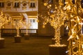 Trees decorated with lights. Golden trees. WilanÃÂ³w Palace in Warsaw