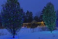 Trees decorated with luminous garlands in a city park. Winter night festive view of decorated trees Royalty Free Stock Photo