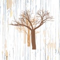 Trees drawing on wooden background