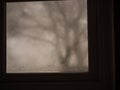 Trees on dreary miserable foggy day view through misty window Royalty Free Stock Photo