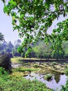 Trees dry river and a bridge acrosse river munnar kerala