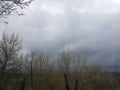 trees in early spring under cloudy sky Royalty Free Stock Photo