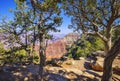 Trees At The Edge Of The Grand Canyon Royalty Free Stock Photo