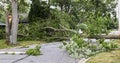 Trees and electric wires laying across residential street after storm