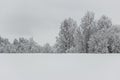 Trees in empty field with snow at winter