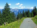 Trees and evergreen forests on the slopes of Alviergruppe mountain range and of the river Rhine valley