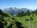 Trees and evergreen forests on the slopes of the Alviergruppe mountain range Royalty Free Stock Photo