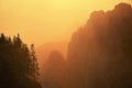 Trees in Fagaras mountains, Romania at Sunset Royalty Free Stock Photo