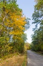 Trees in fall colors by a country road Royalty Free Stock Photo