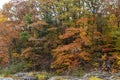 Trees with fall colors near Sainte Ursule Waterfall. Canada.