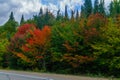 Trees with fall foliage colors in Mont Tremblant National Park Royalty Free Stock Photo