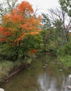 Trees with fall foliage lining the Pike River in Petrifying Springs Park in Kenosha, WI Royalty Free Stock Photo