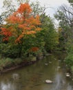 Trees with fall foliage lining the Pike River in Petrifying Springs Park in Kenosha, Wisconsin Royalty Free Stock Photo