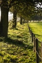 Trees and fence in country on autumn day Royalty Free Stock Photo