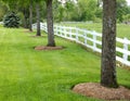 Trees and fence line a maine pasture Royalty Free Stock Photo