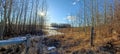 Trees and Fence posts in the Alberta Praries Royalty Free Stock Photo