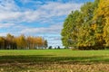 Trees by field in Autumn Royalty Free Stock Photo
