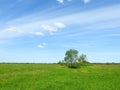 Trees, field and beautiful cloudy sky, Lithuania Royalty Free Stock Photo