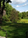 Trees field country green peaceful