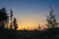 Trees in a field at sunset Royalty Free Stock Photo