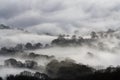 Trees and fields covered in fog on a atmospheric, moody winters day. Malvern Hills, UK Royalty Free Stock Photo