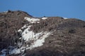 Trees flattened by eruption Mount St. Helens National Volcanic Monument, Washington State,USA Royalty Free Stock Photo