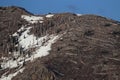 Trees flattened by eruption Mount St. Helens National Volcanic Monument, Washington State,USA Royalty Free Stock Photo