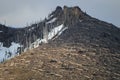 Trees flattened by eruption Mount St. Helens National Volcanic Monument, Washington State,USA Royalty Free Stock Photo