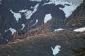 Trees flattened by eruption Mount St. Helens National Volcanic Monument, Washington State,USA Royalty Free Stock Photo