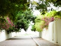 Trees & flowers