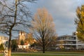 trees flowers and buildings around a city park in november at au Royalty Free Stock Photo