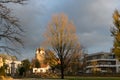 trees flowers and buildings around a city park in november at au Royalty Free Stock Photo