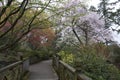 Trees flowers Leach Botanical Garden Royalty Free Stock Photo