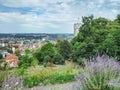 Trees and flowers at the Ravensburg park