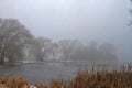 Trees in Fog Framing Shores Edge on Winter Day Royalty Free Stock Photo