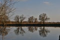 Trees without foliage growing on a meadow bank of a river against a blue sky with clouds reflected in the water. Royalty Free Stock Photo