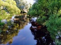 Trees and foliage with reflections in the water of the river Royalty Free Stock Photo