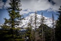 Trees at the forefront, majestic mountains to the back Royalty Free Stock Photo