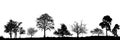 Trees in the forest. landscape. Set of trees. Vector illustration.Eps10 Royalty Free Stock Photo