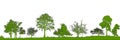 Trees in the forest. landscape. Set of trees. Vector illustration.Eps10 Royalty Free Stock Photo