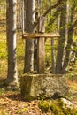 Trees in forest and old wooden cross Royalty Free Stock Photo