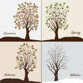 Trees in four seasons - winter, autumn, summer, spring Royalty Free Stock Photo